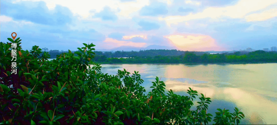 献礼海南自 献礼海南自