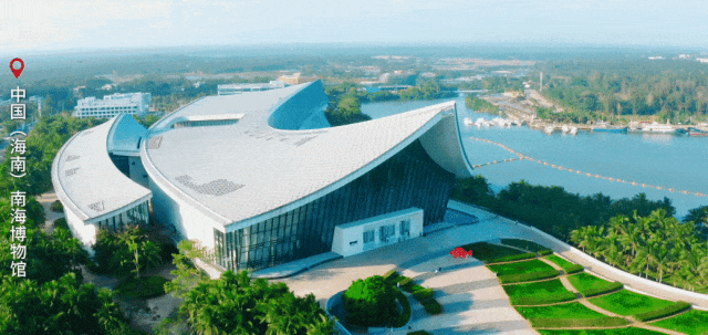 vGwP, 假日才刚刚, om vGwP, 假日才刚刚, om