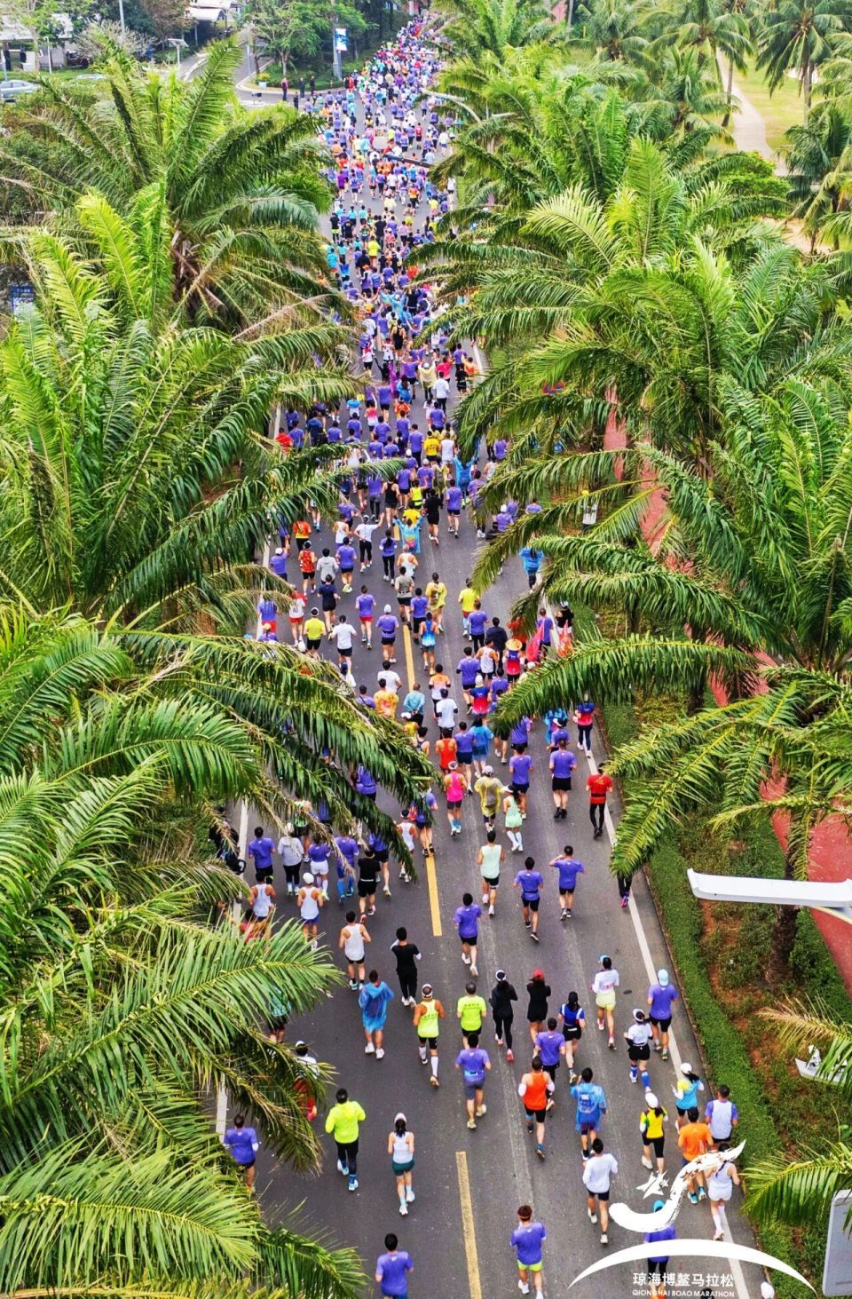 RvZN, Bb, bt RvZN, Bb, bt